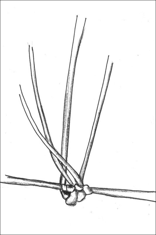 col-sm-4