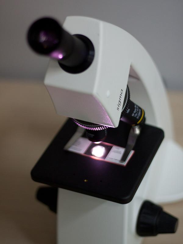 col-sm-4