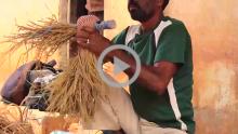 Leather Animal Figure Making