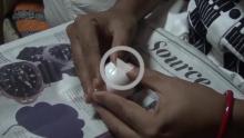 Eggshell Painting - Kolkata