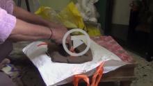 Terracotta Modeling - Ahmednagar