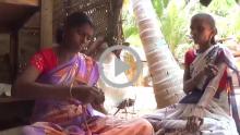 Coconut Shell Bird Feeder - Kanyakumari