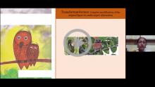 Unconventional Vs Conventional PictureBooks