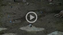 Kanche
