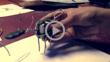 Clay Animation Module 2