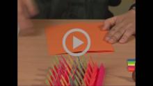 Flag Book Making