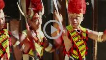 Pochuri Tribe