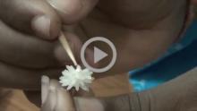 Rice Jewelry - Vellore