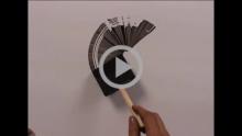 Calligraphy Letterforms3